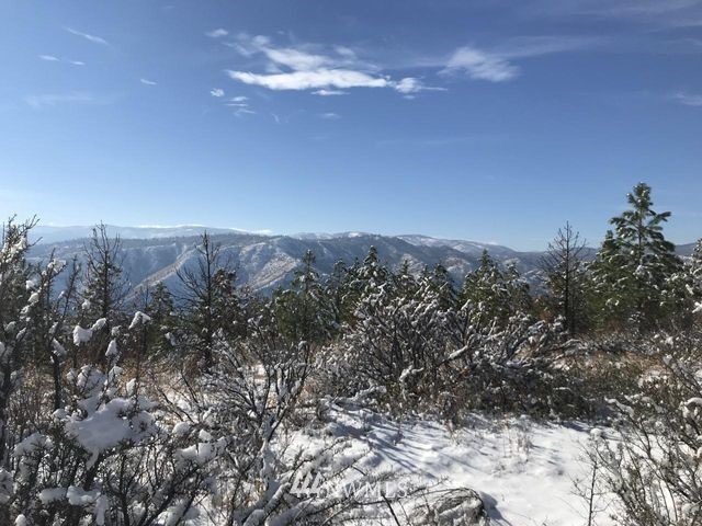 Entiat River Rd Unit  Ardenvoir WA 98811