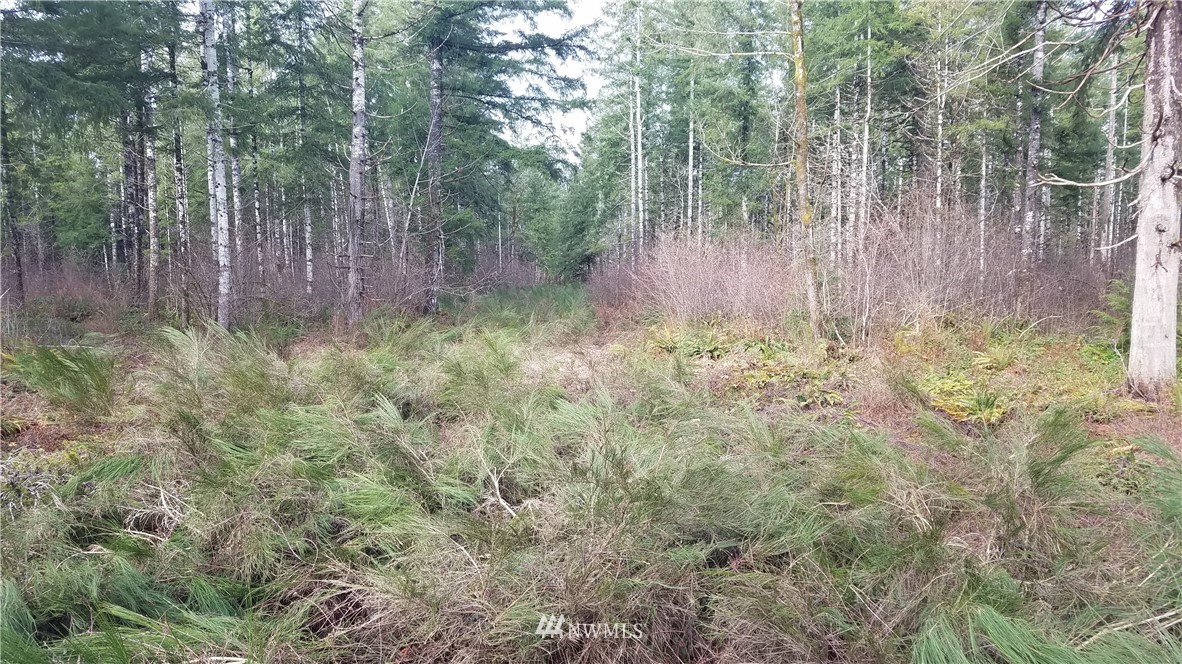 0 Lot 1 W Cooks Pl Matlock WA 98541