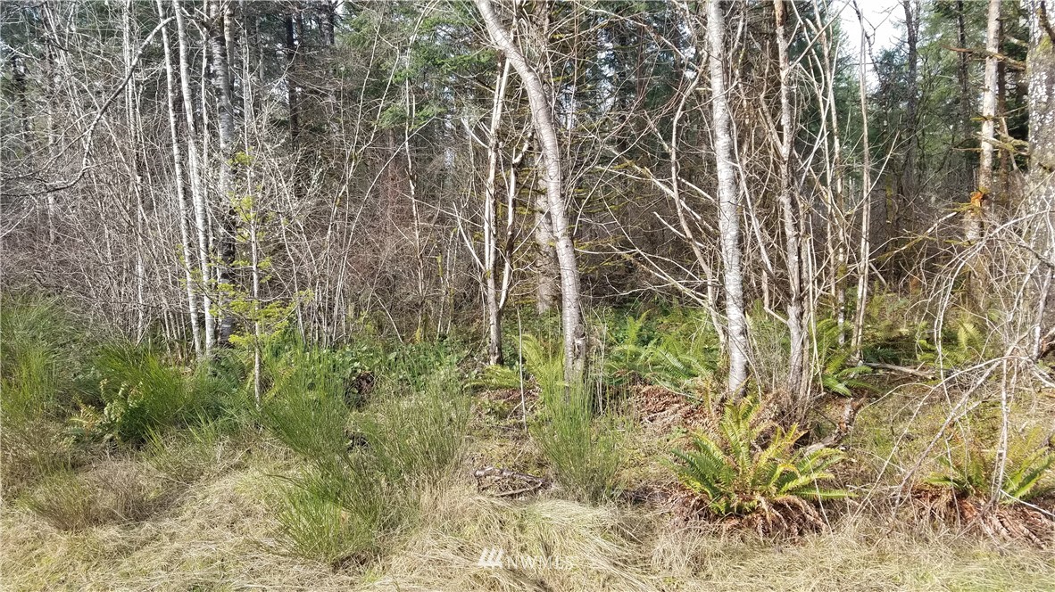 0 Lot 2 W Cooks Pl Matlock WA 98541