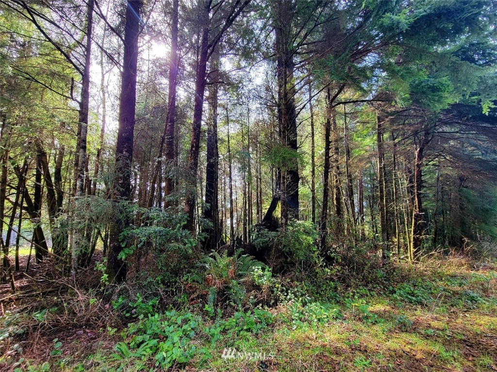 Pt Grenville Tr 20 Taholah WA 98587