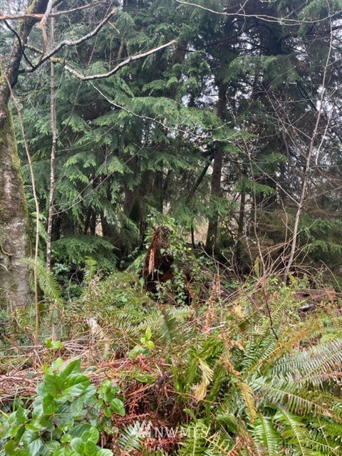 0 x Hwy 105 Unit  North Cove WA 98547