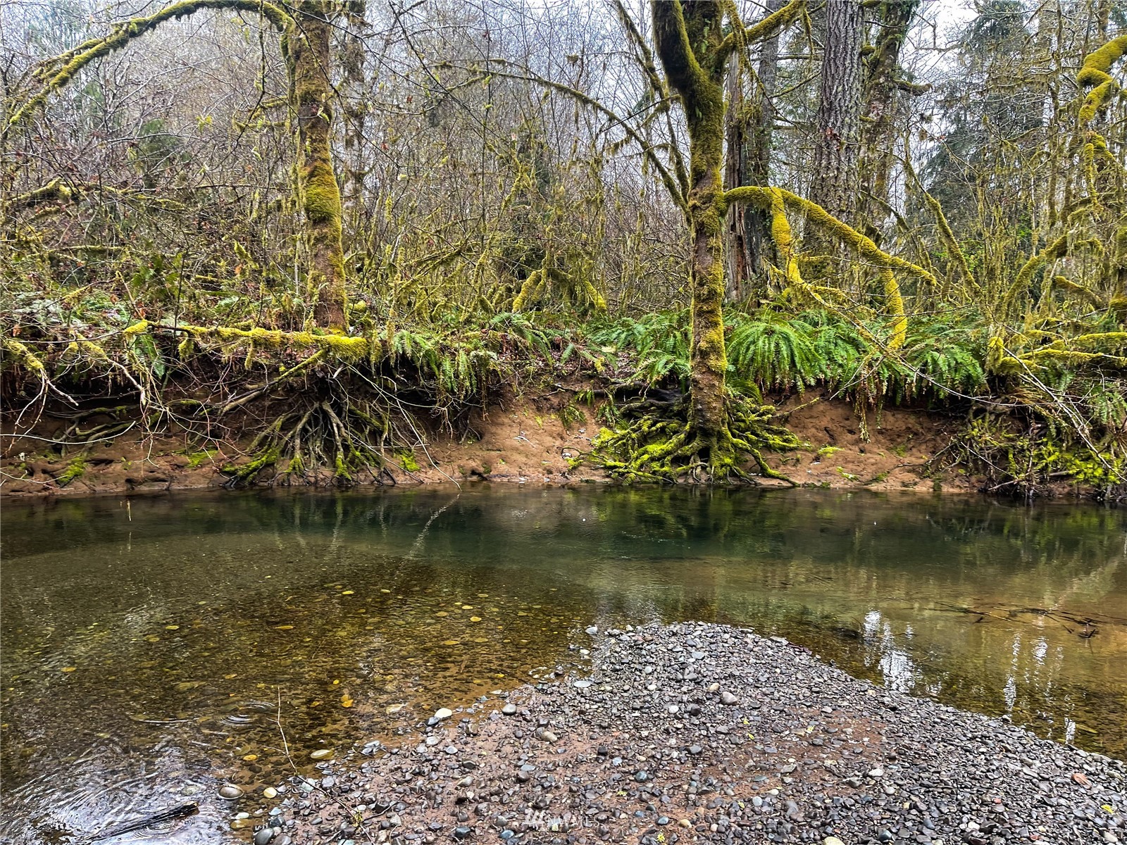 450 W Maple Rock Rd Matlock WA 98560