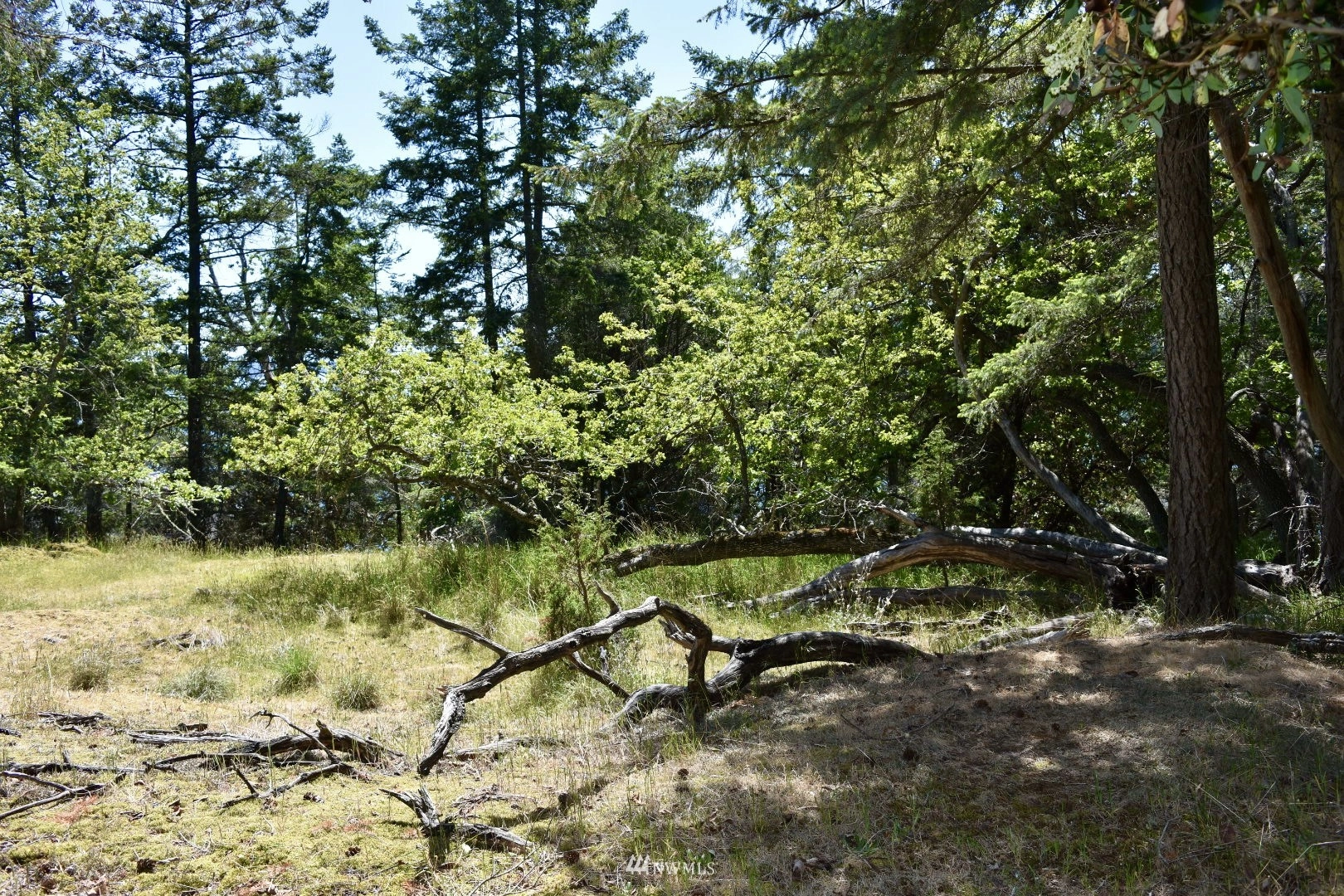 0 XXX Vista Pl Unit  Stuart Island WA 98250