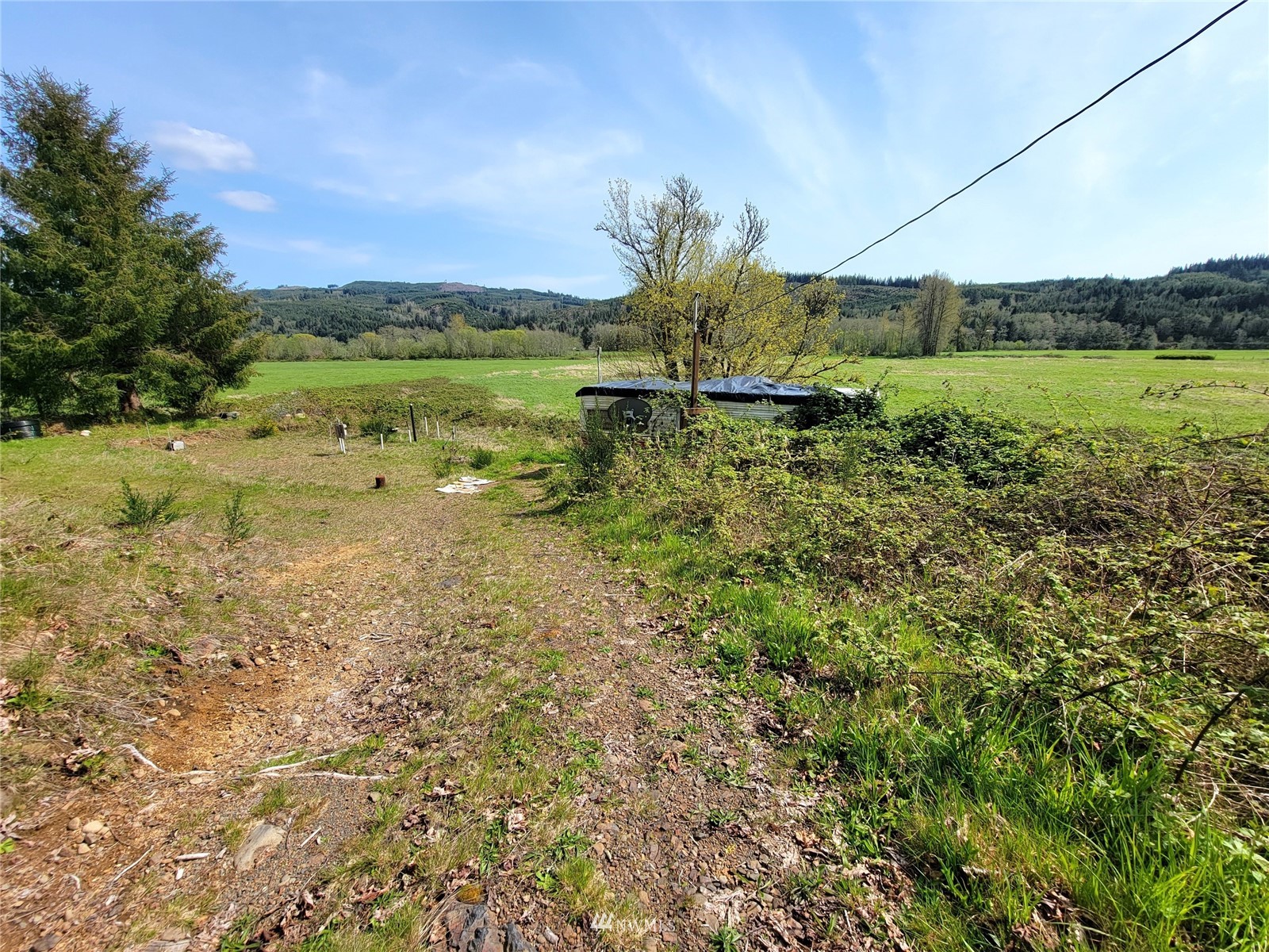 224 Loop Rd Grays River WA 98621