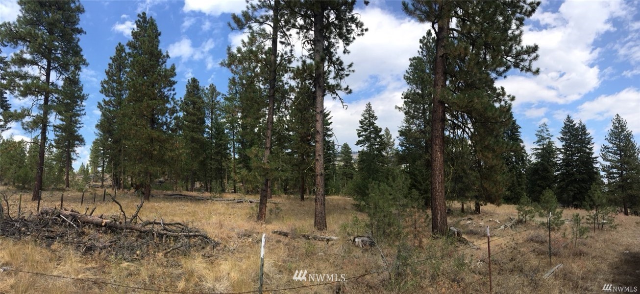 Mineral Hill Rd Conconully WA 98819