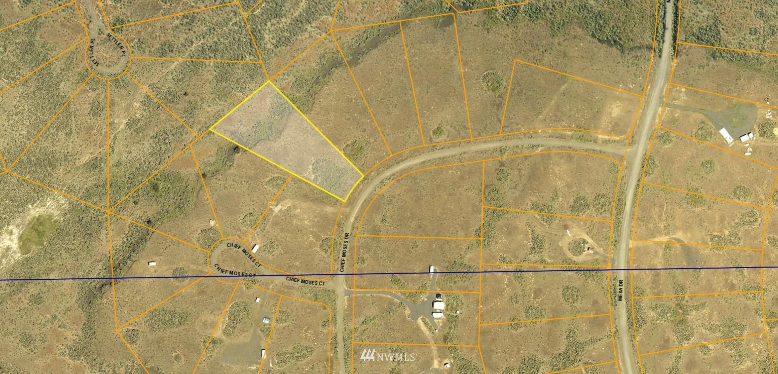Chief Moses Dr Unit  Palisades WA 98845