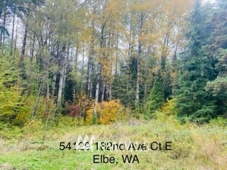 54129 E 182nd Ave Ct E Elbe WA 98330