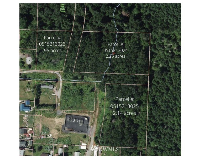 541st St E Elbe WA 98330