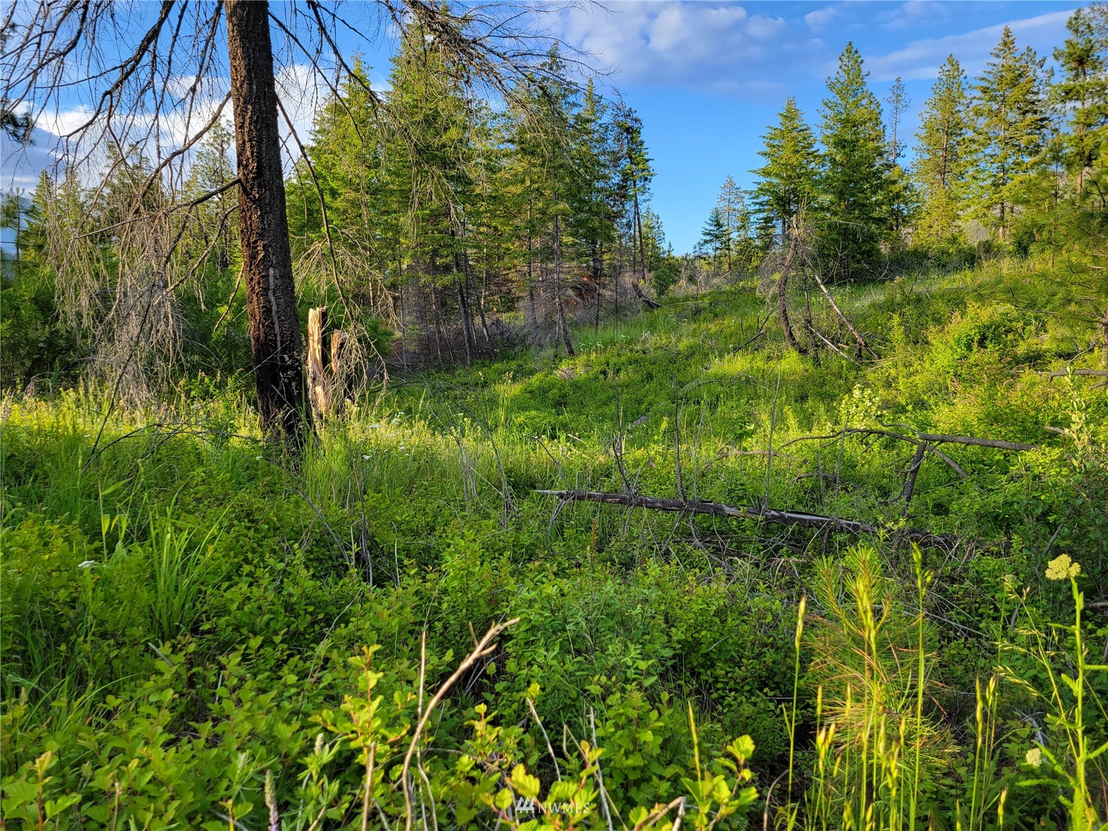 Coyote Canyon Rd Fruitland WA 99129