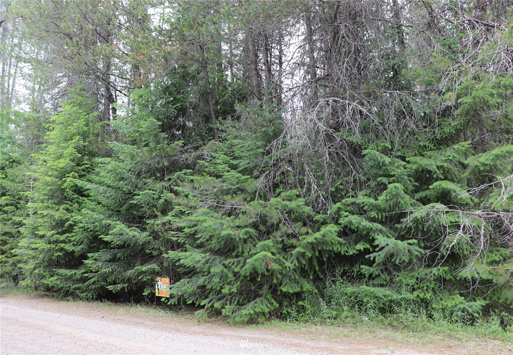 0 Lot 8 C Diamond Dr Unit  Newport WA 99156