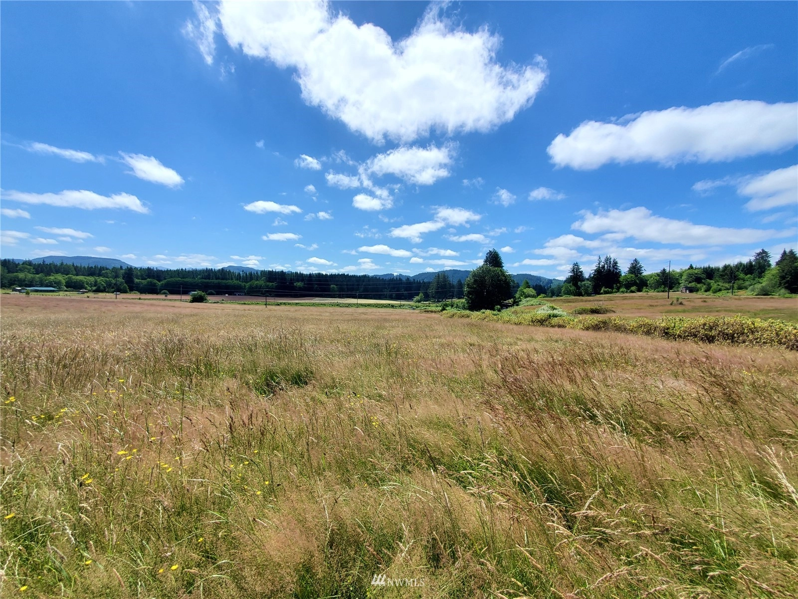 134 Dancing Elk Rd Unit  Beaver WA 98305