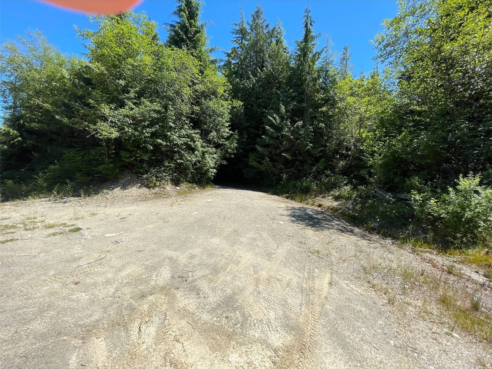 Mcbride Rd Taholah WA 98587