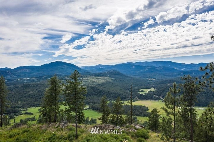 2900 Blk Wrights Valley Rd Chewelah WA 99109
