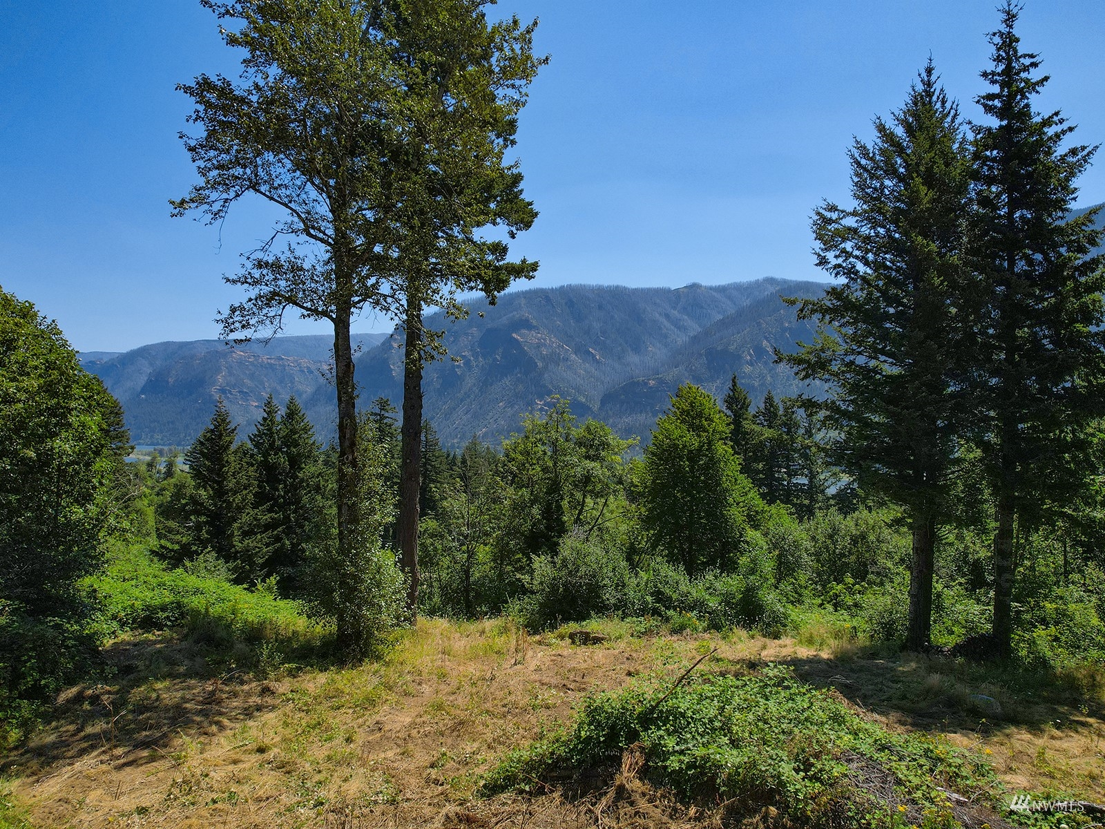 Hwy 14 Skamania WA 98648