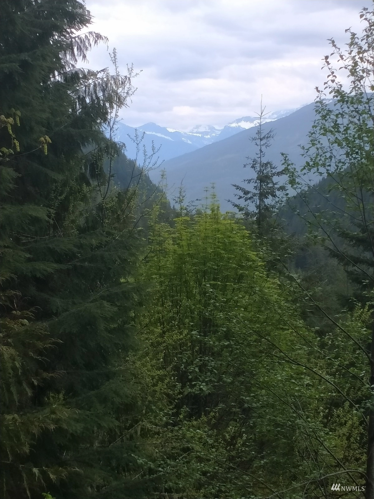 16 Sno Mt Baker Nat Forest Rockport WA 98283