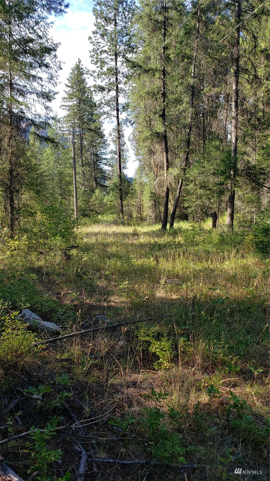Hwy 395 N Orient WA 99160