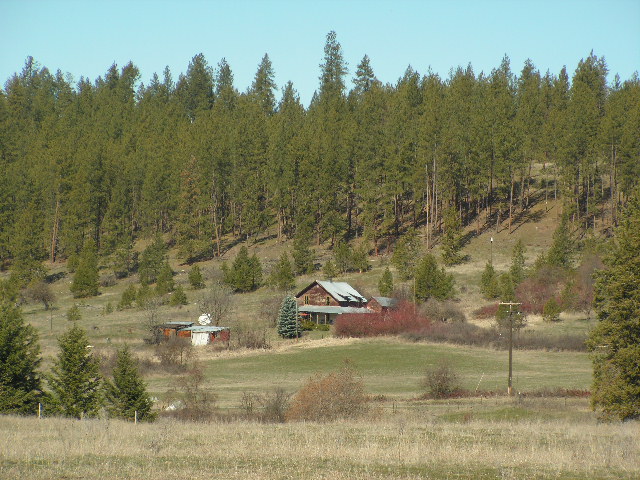 Addy/Gifford Rd Gifford WA 99131