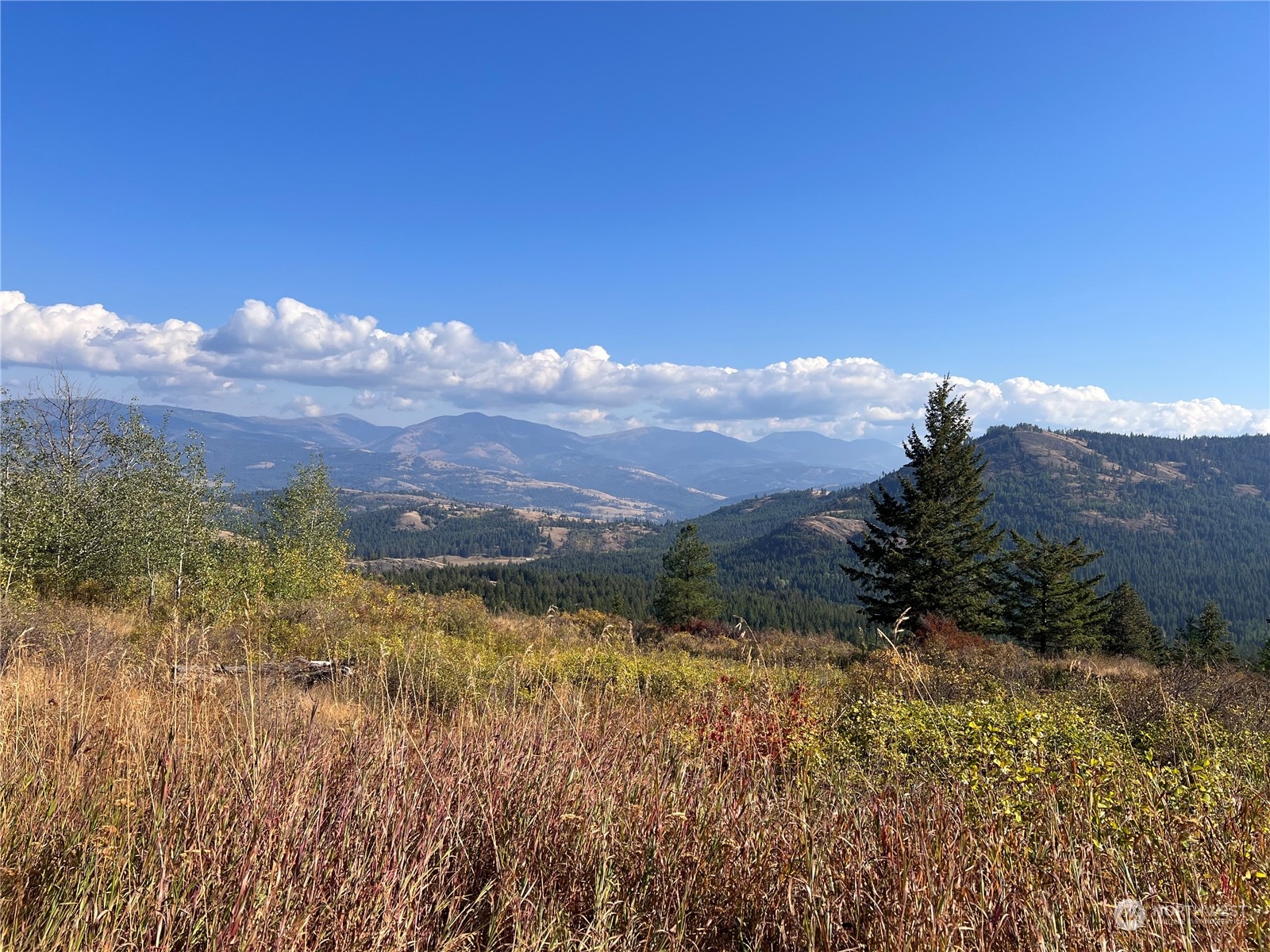 0 TBD New Hope Ln Unit  Malo WA 99150