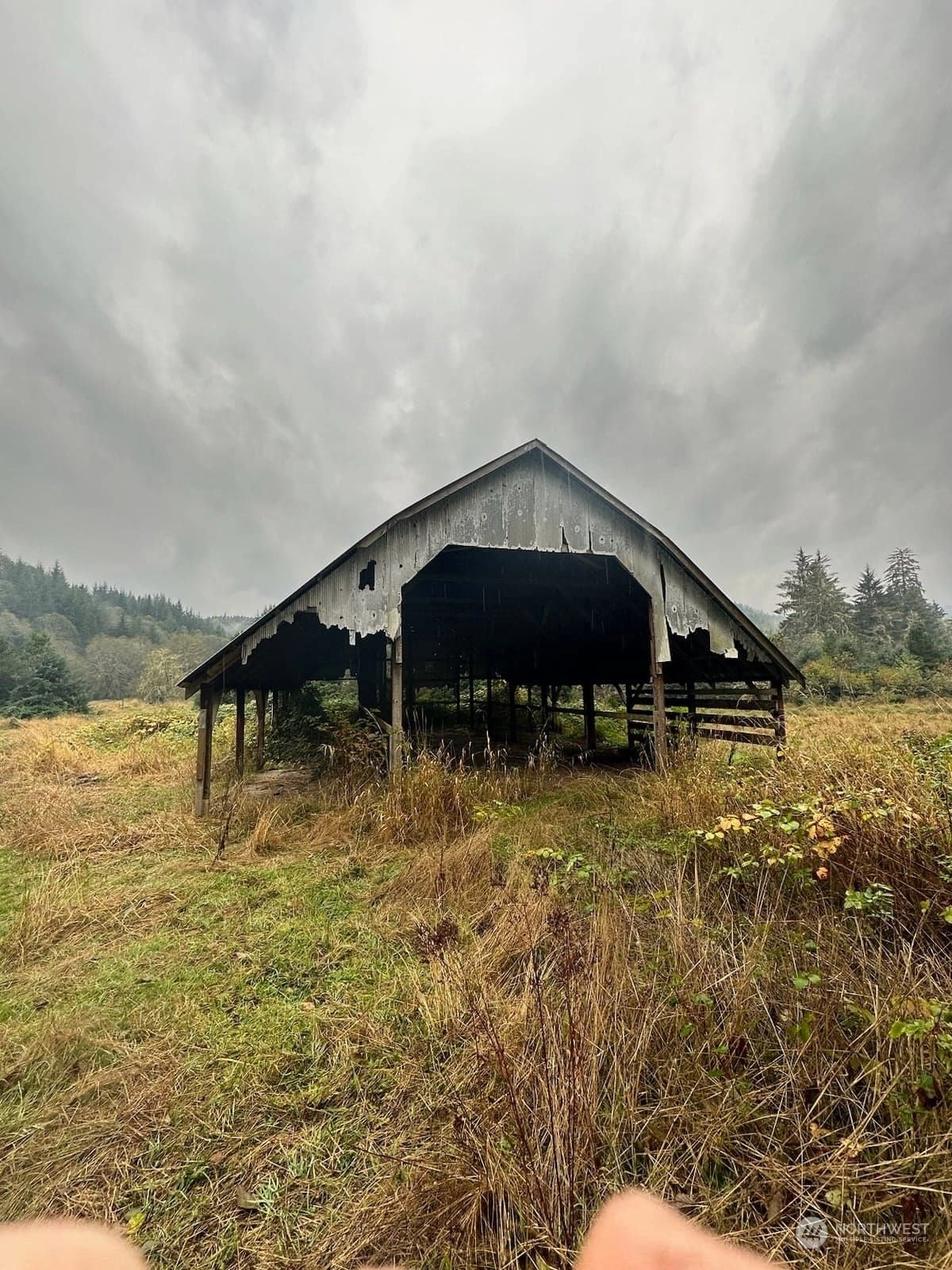 Bjornsgard Rd Skamokawa WA 98647