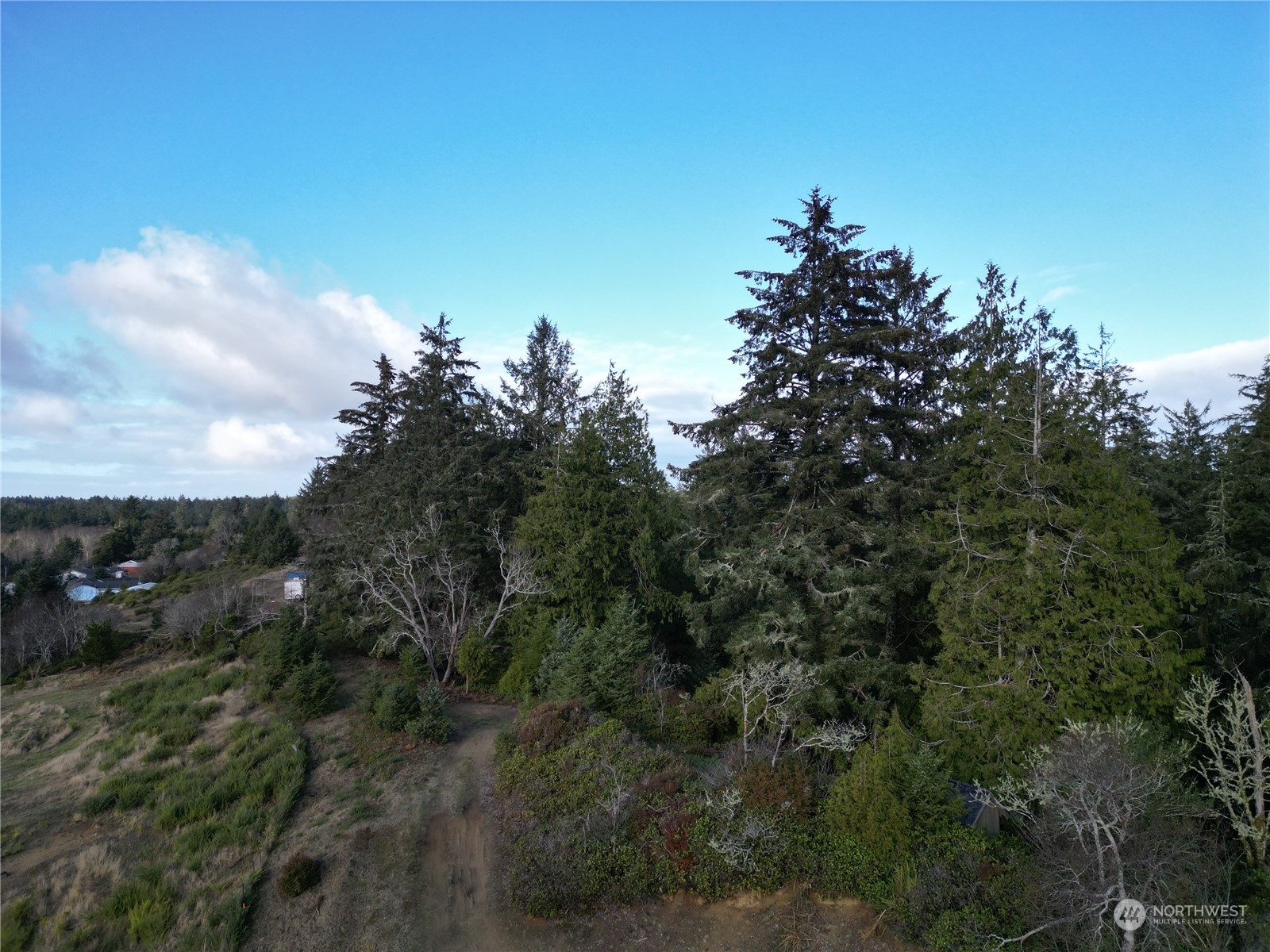 2917 Oysterville Rd Oysterville WA 98641