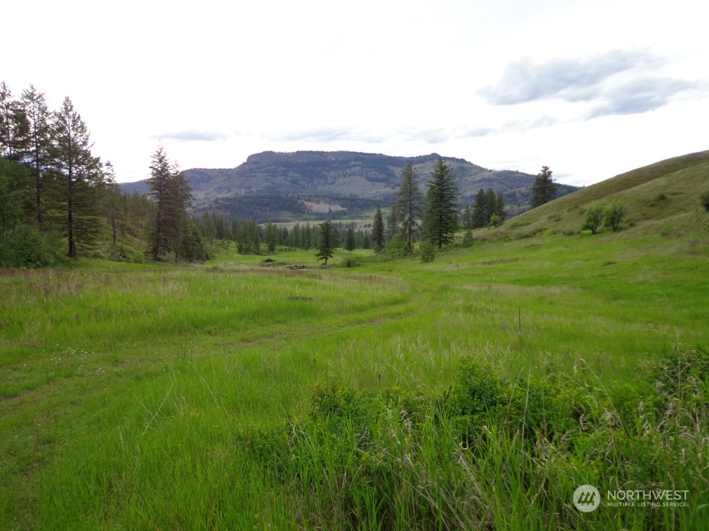 0 TBD Gulch Rd Unit  Malo WA 99150