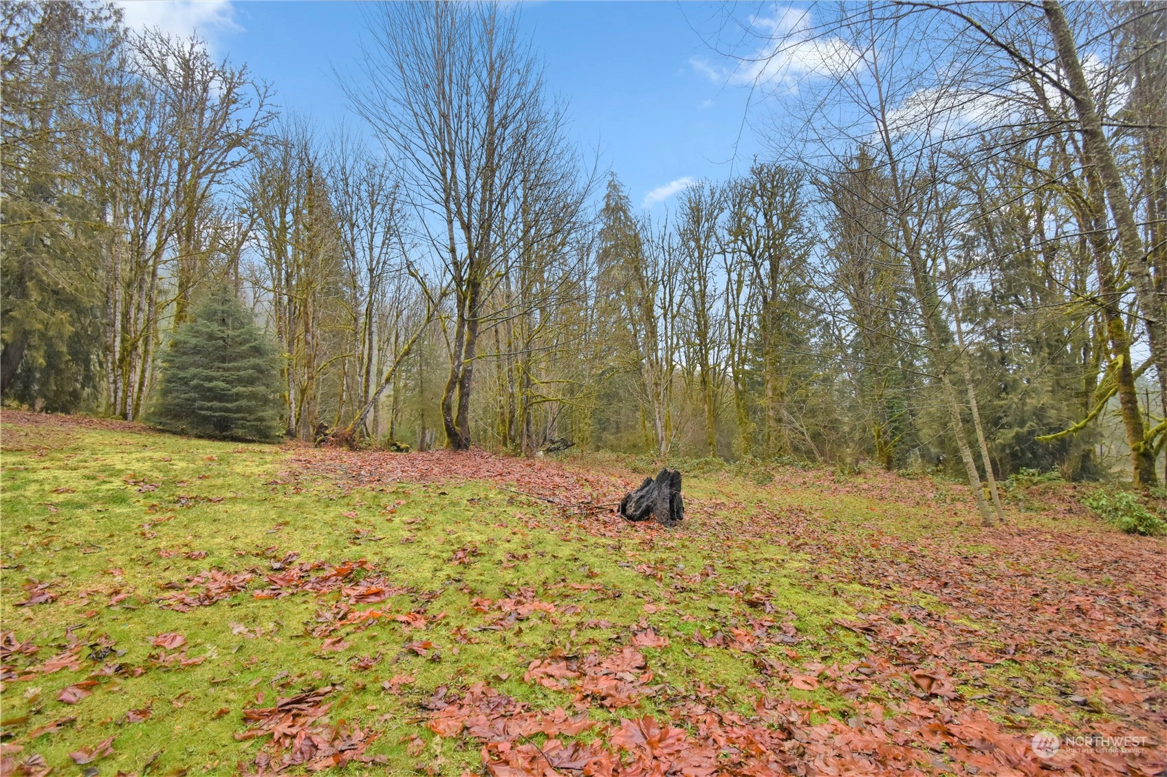 53635 Shular Rd Rockport WA 98283