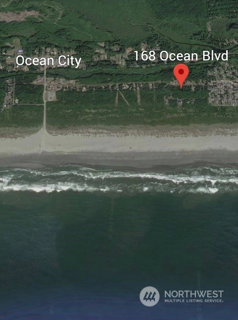 168 Ocean Blvd Ocean City WA 98569