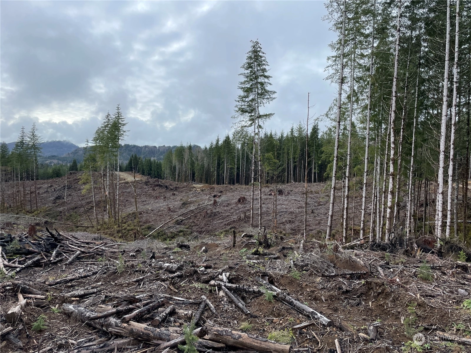 Oatfield Rd Skamokawa WA 98647