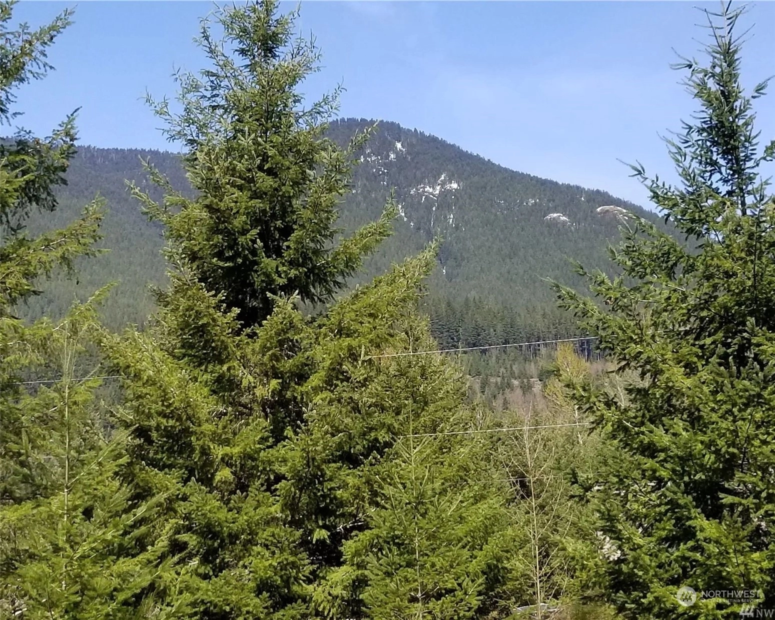 107 Jack Fir Ct W Unit  White Pass WA 98361