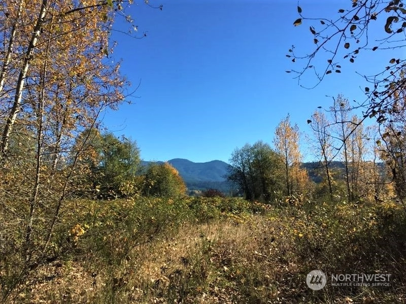 State Route 131 White Pass WA 98937