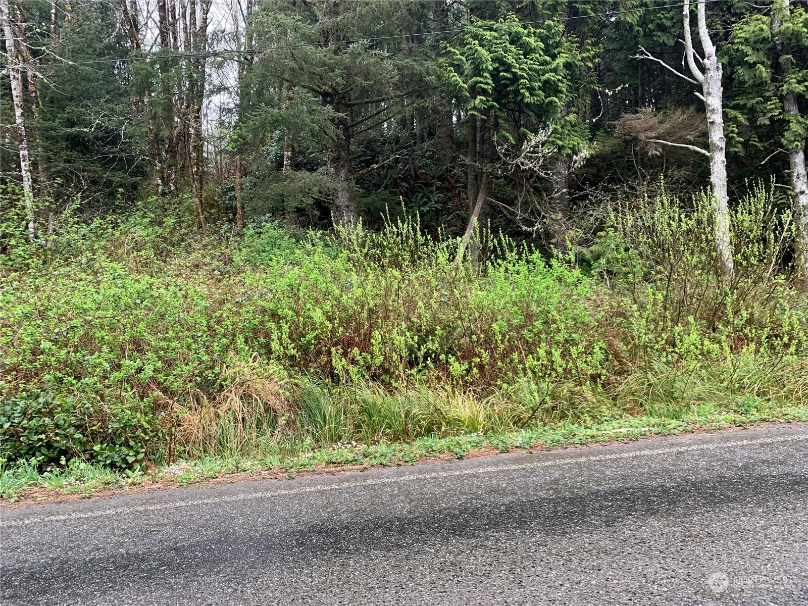 0 00 State Route 109 Unit  Ocean City WA 98569