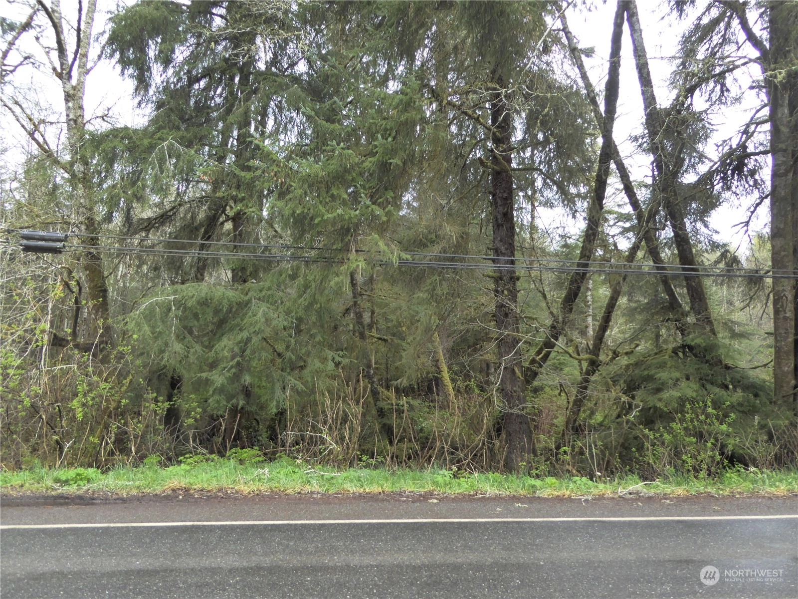 Hwy 112 Sekiu WA 98381