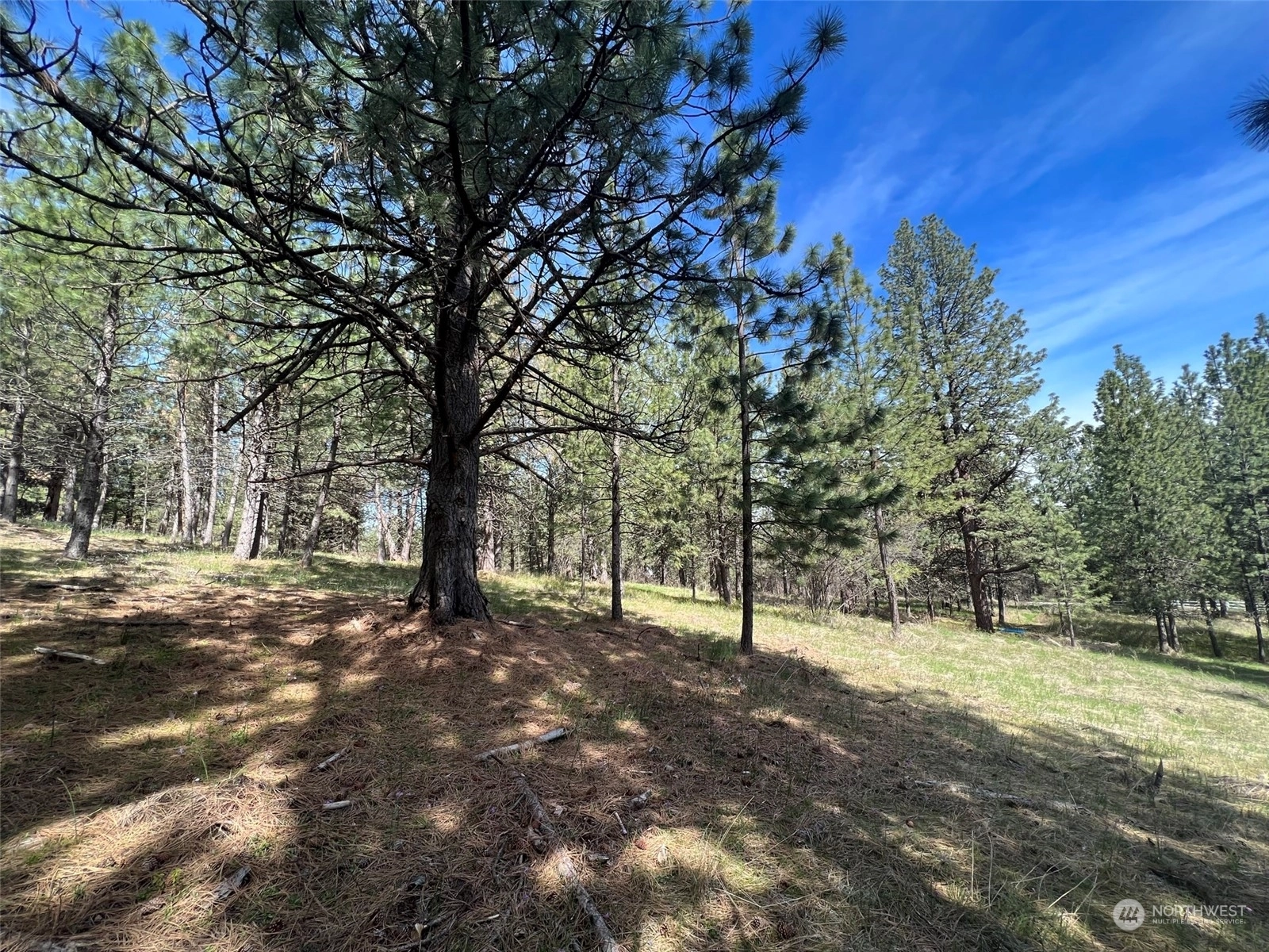 19000 xxx Pheasant Dr Greenacres WA 99016