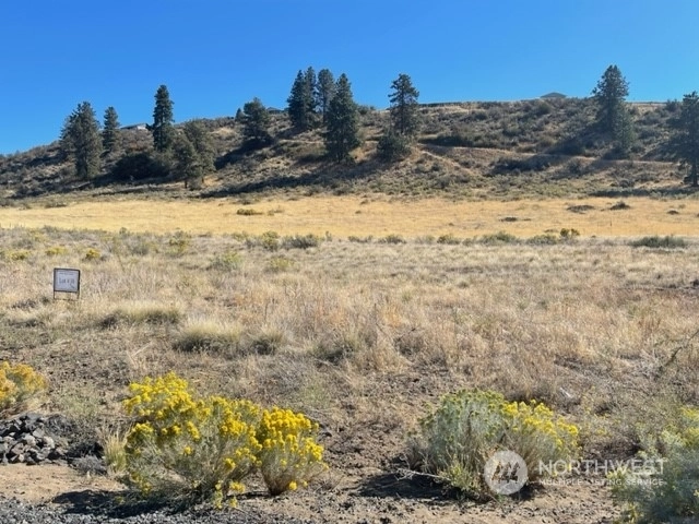 42650 Bauer Ln N Unit  Deer Meadows WA 99122