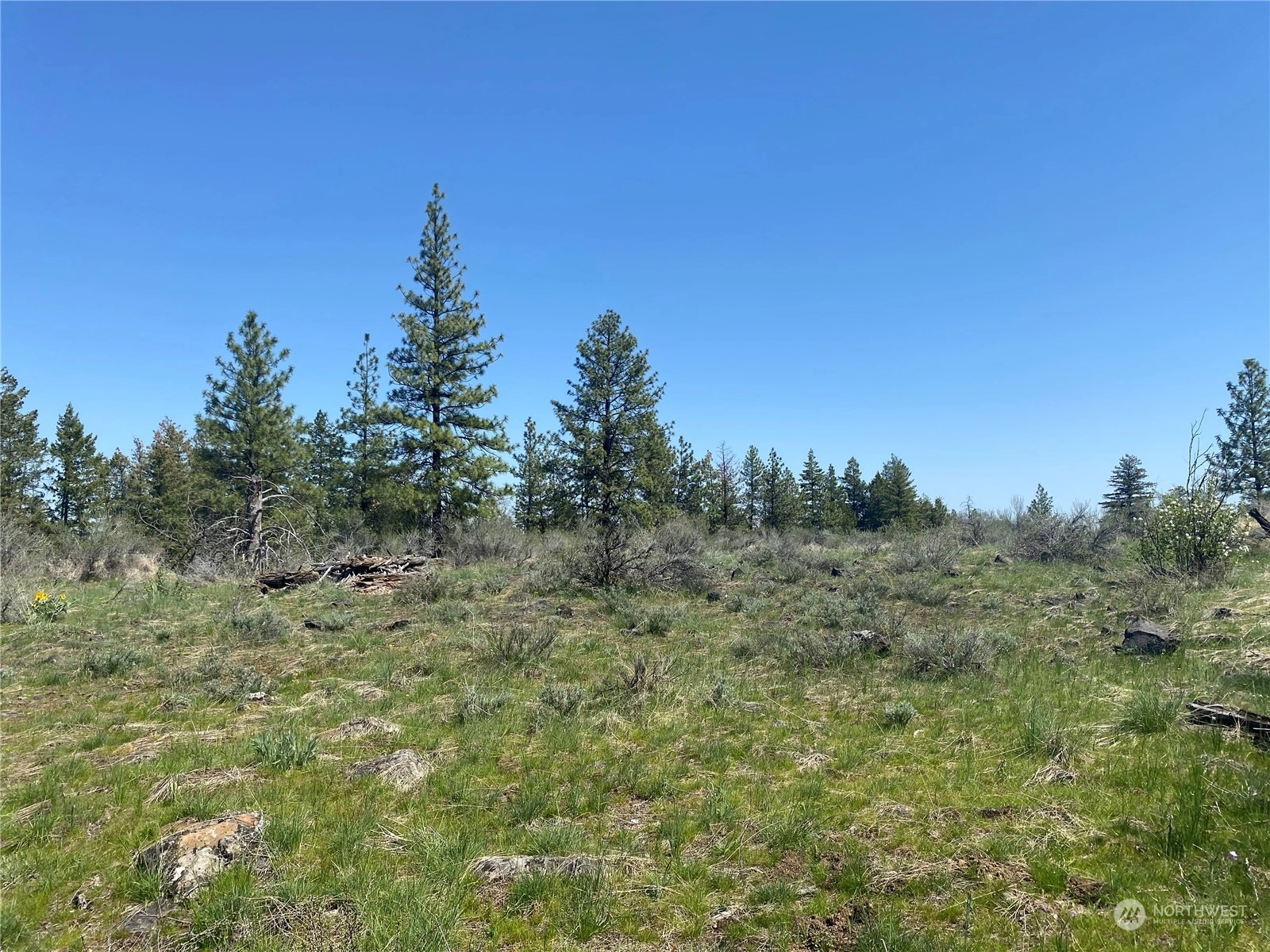 51780 E Whispering Pines Dr Reardan WA 99029