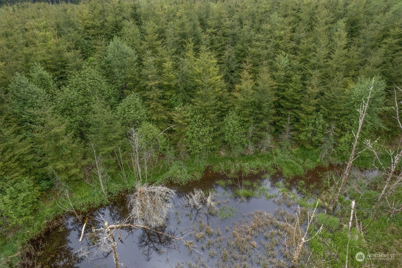 Eden Valley Rd Rosburg WA 98643
