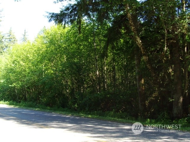 0 0000 Hoko Ozette Rd Clallam Bay WA 98326