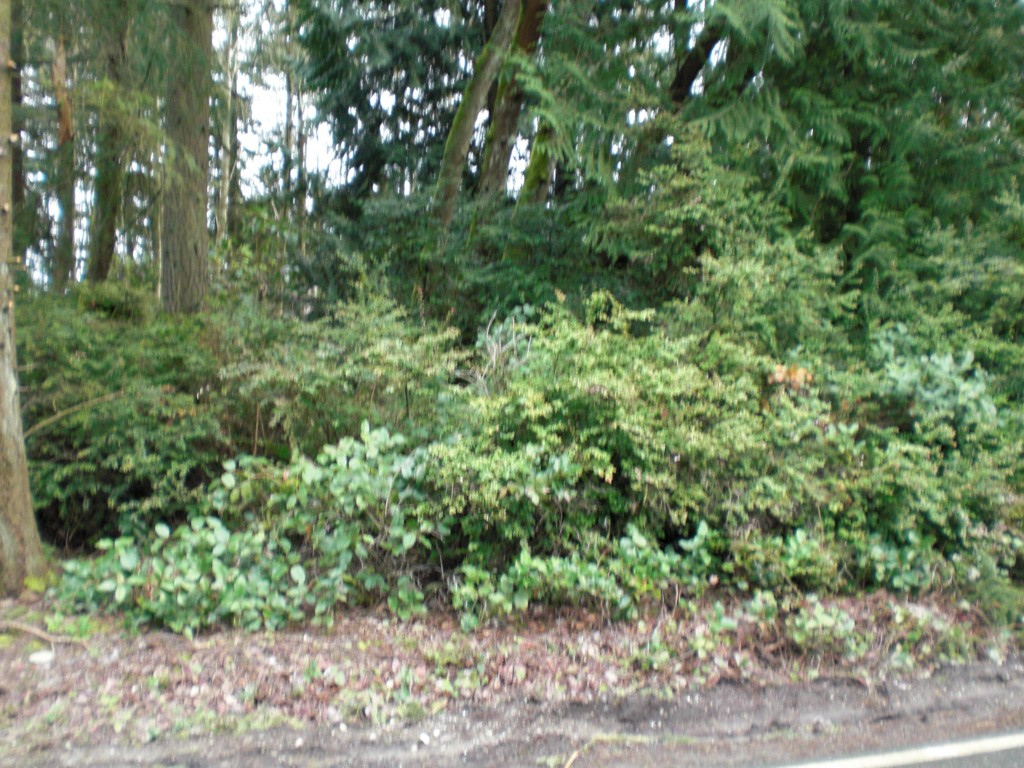132 XX 96th Ave Ct NW Unit  Purdy WA 98335