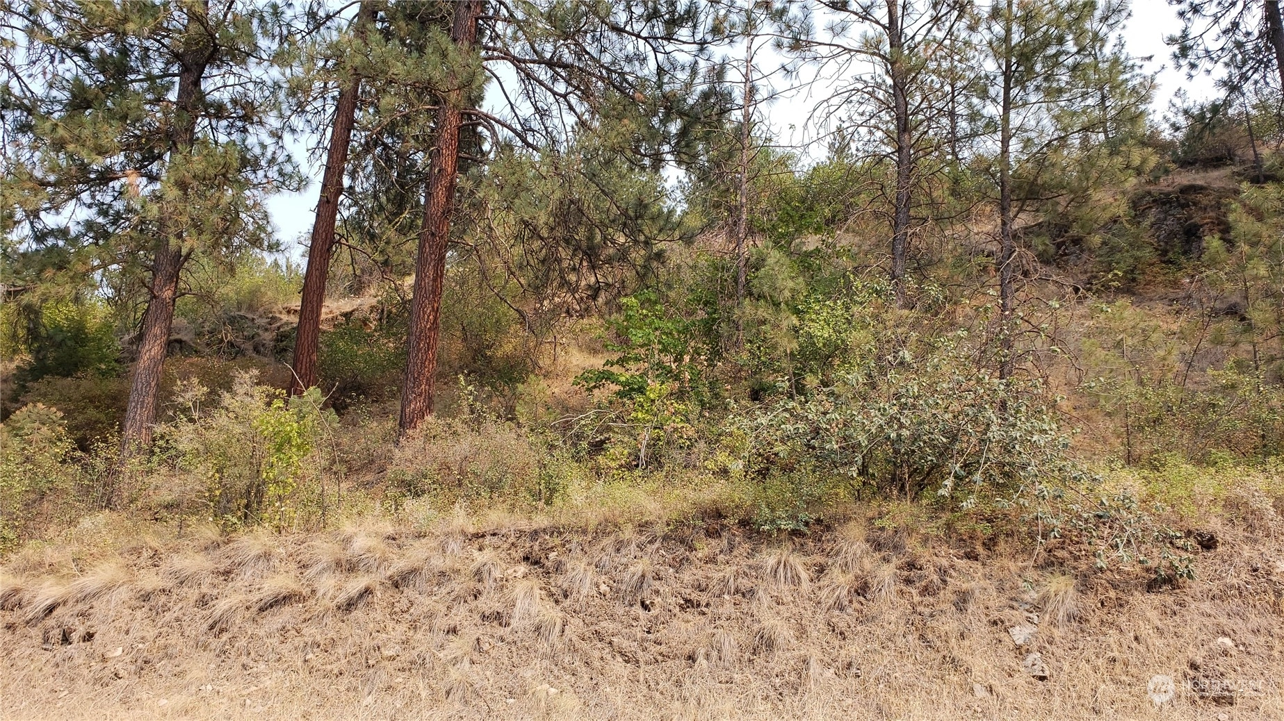 501 Columbia River Rd Hunters WA 99137