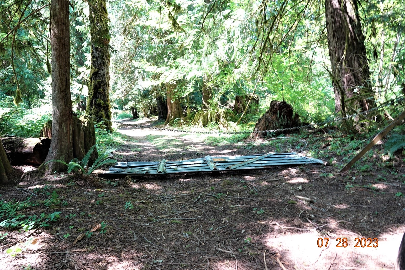 135 Cedar Grove Rd White Pass WA 98377