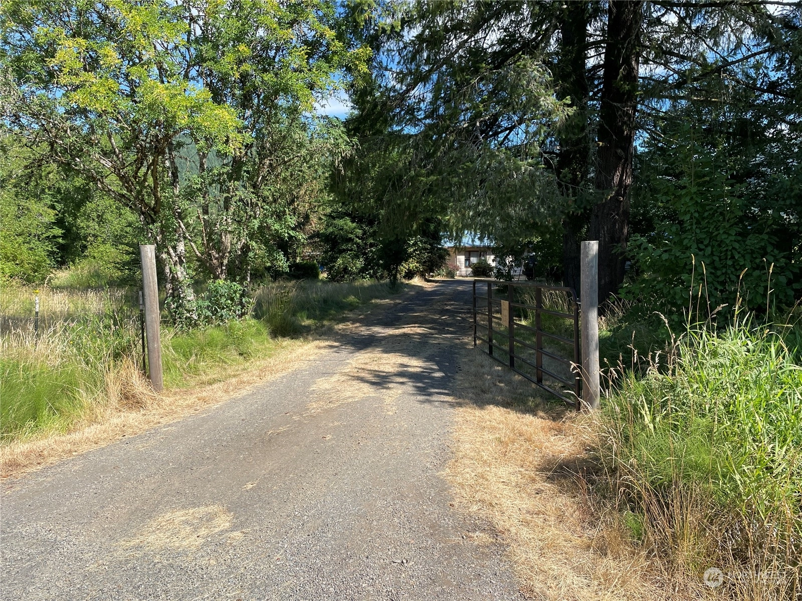 134 Uden Rd E Glenoma WA 98336