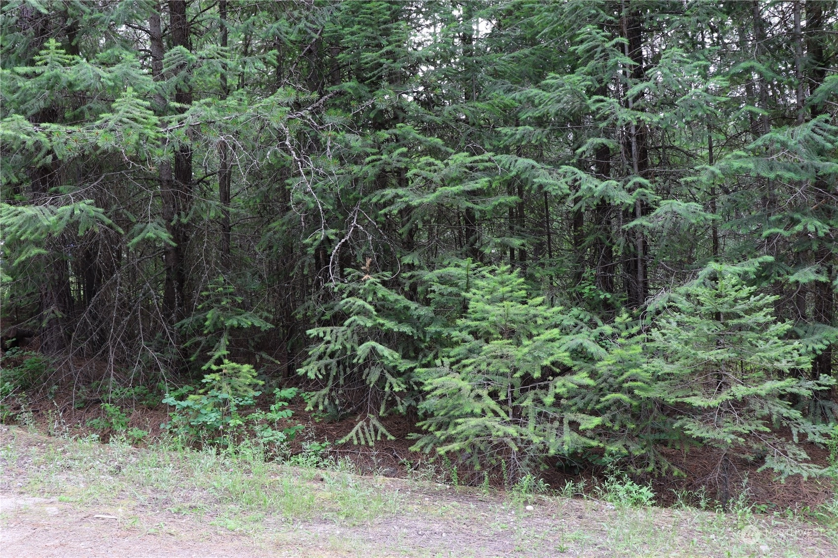 0 Lot 5 Diamond Dr Unit  Newport WA 99156