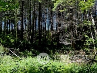 103 Marjorie Ln White Pass WA 98377