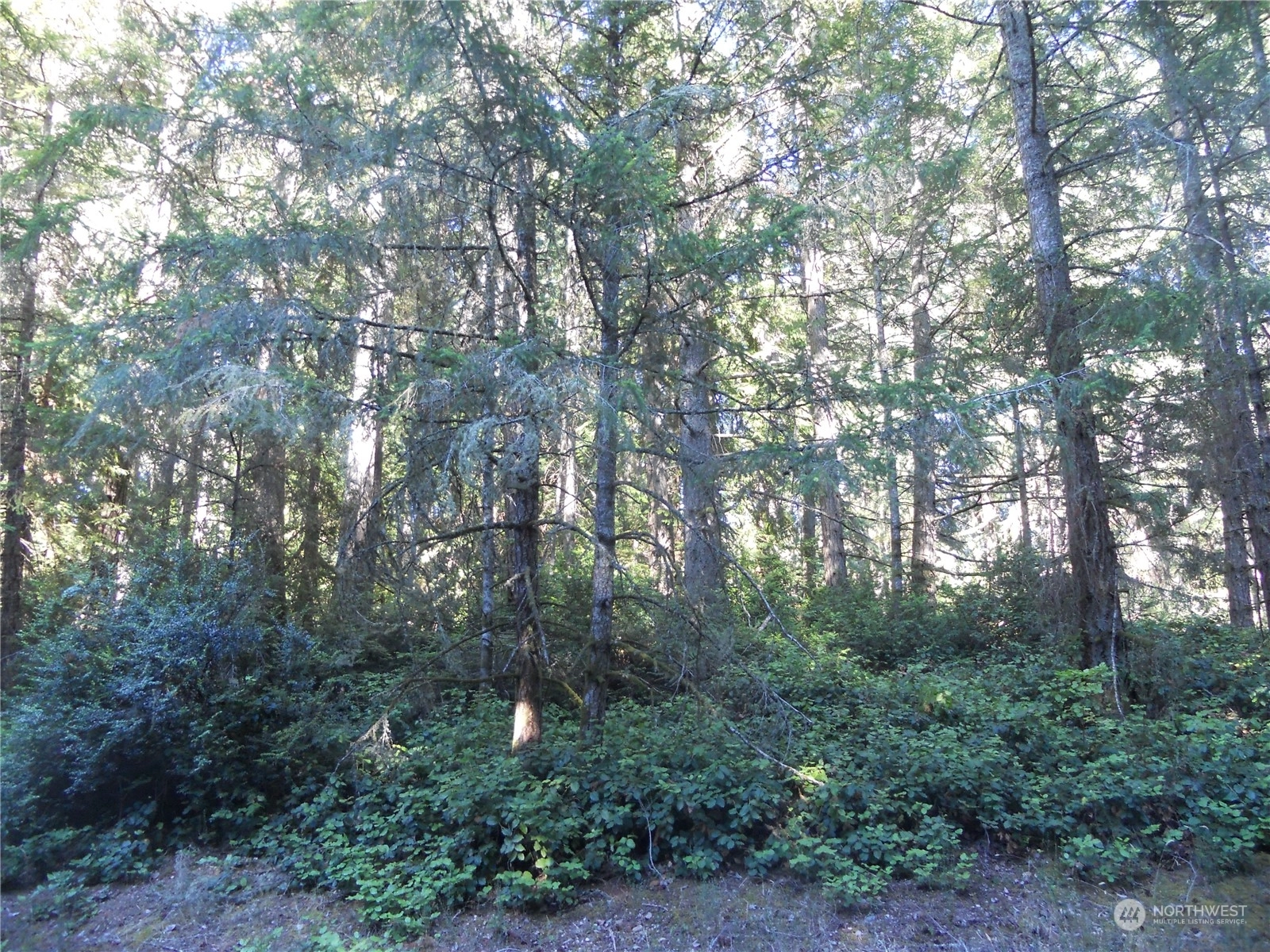 12315 110th St Ct Unit  Anderson Island WA 98303