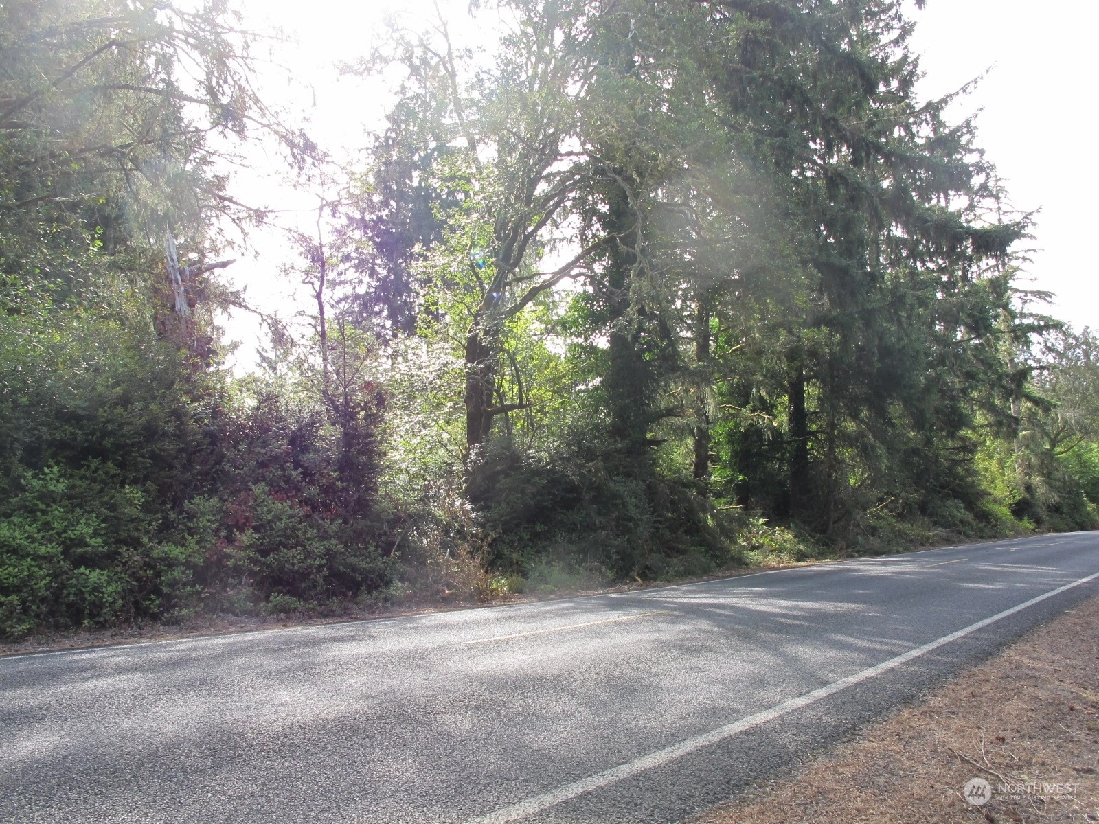 324 xx Sandridge Rd Unit  Oysterville WA 98640