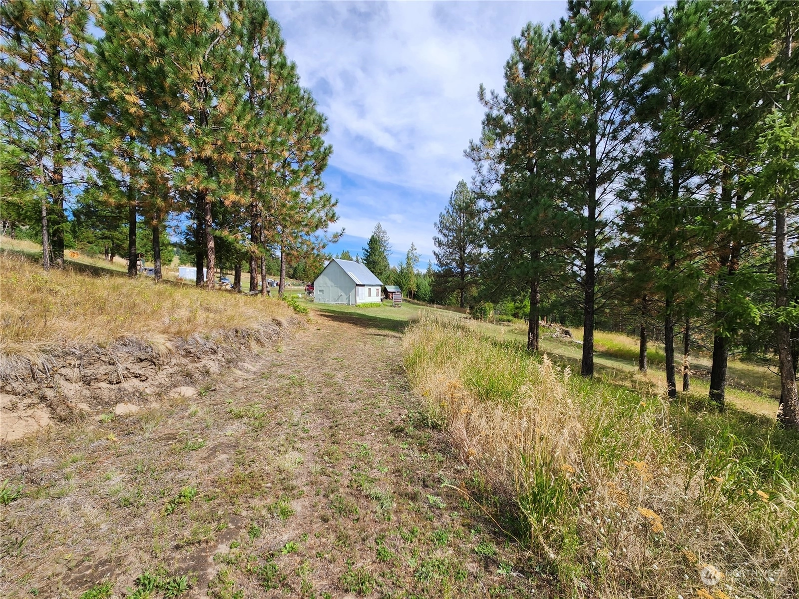 76 Valley High Rd Malo WA 99150
