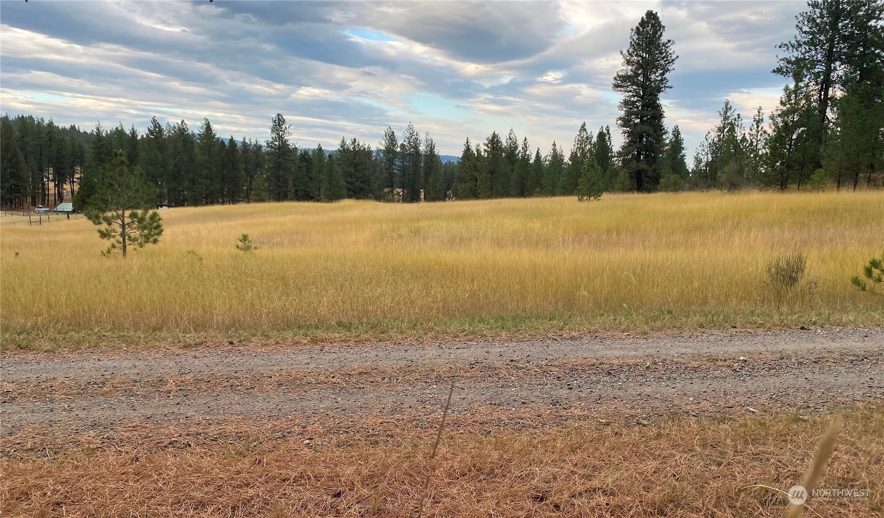 49700 Forest Dr Reardan WA 99029