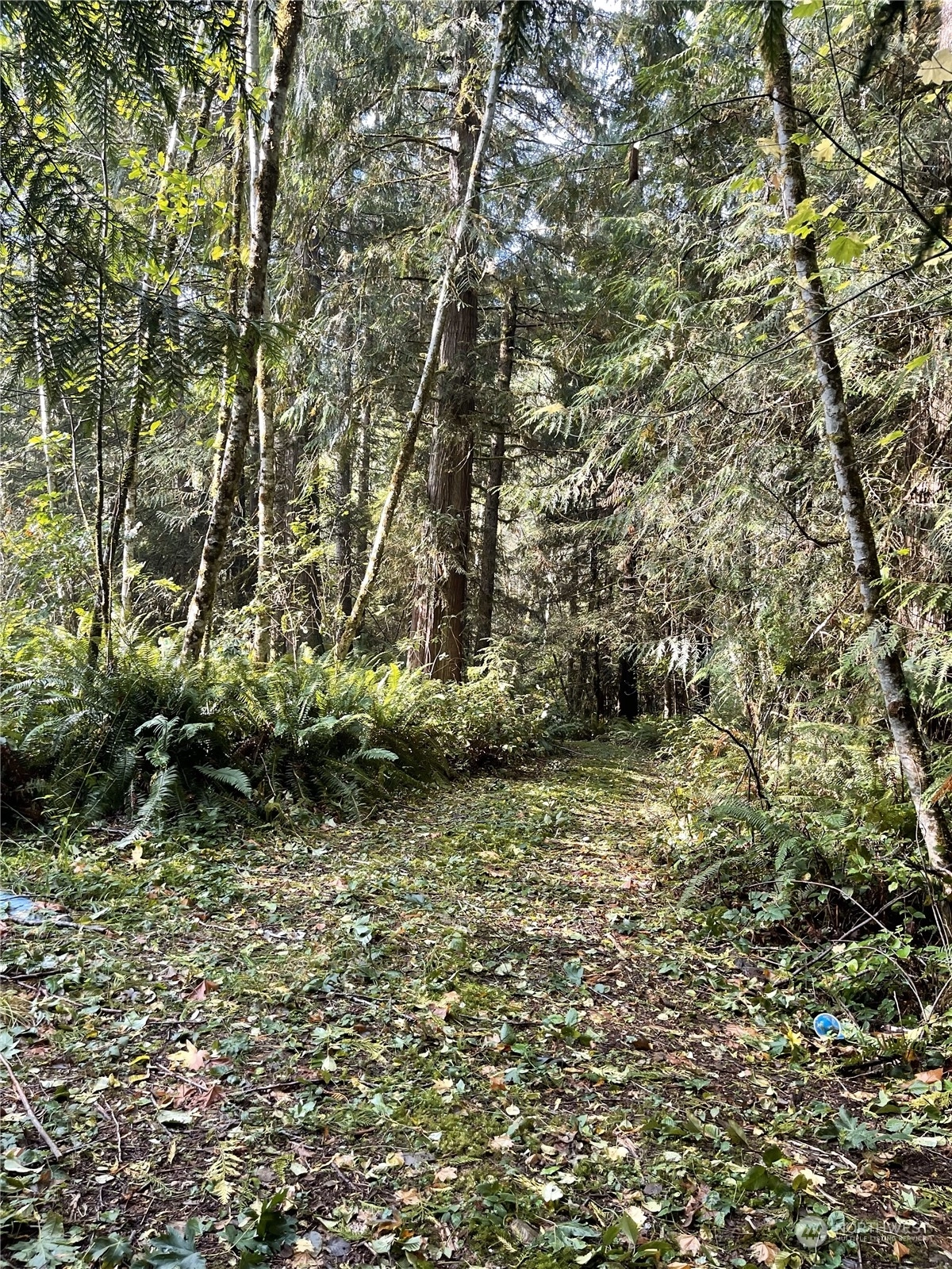Butler Mill Rd Porter WA 98501