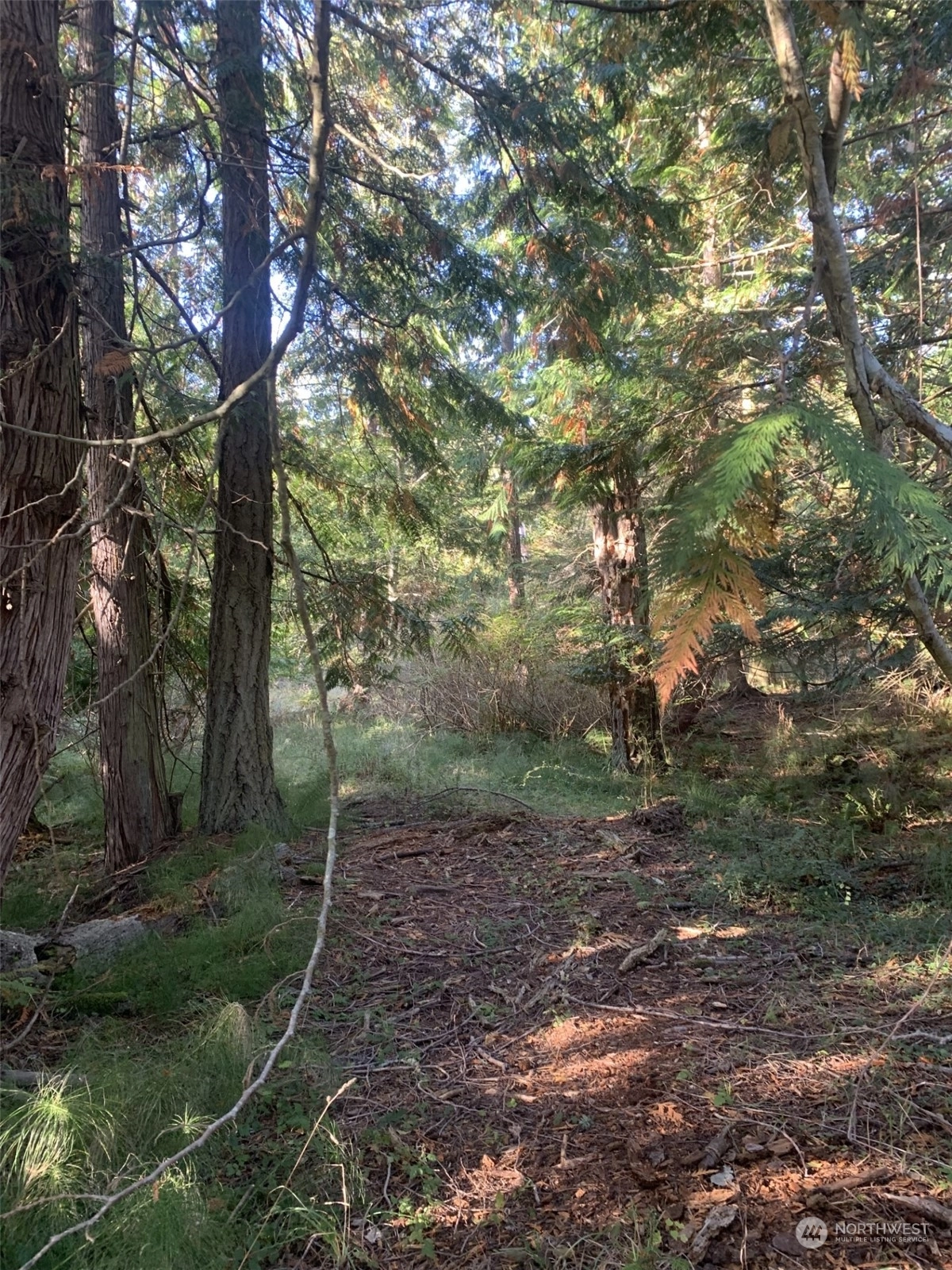 10 Harmon Ranch Rd Decatur Island WA 98221