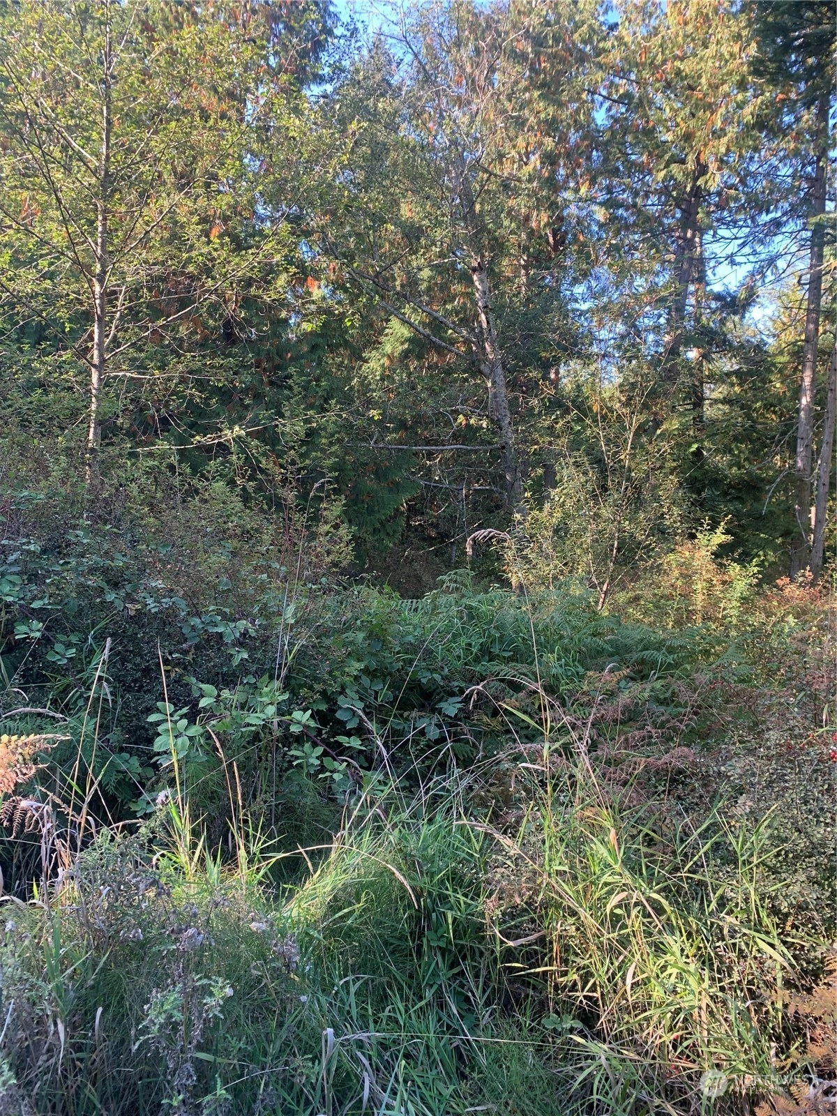 20 Harmon Ranch Rd Decatur Island WA 98221